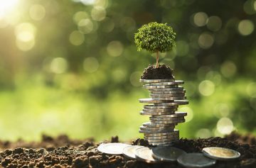 Foto: Adobe stock/lovelyday12
