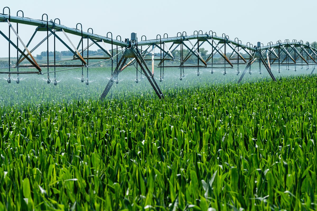 Portugal perde mais de 500 milhões de euros por ano por não investir em regadio