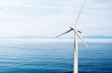 Foto: Adobe stock/carballo