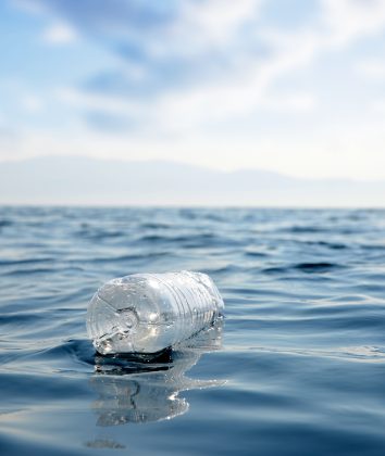Foto: Adobe Stock/Vencav