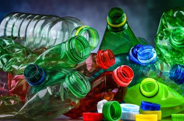 Foto: Adobe Stock/Monticellllo