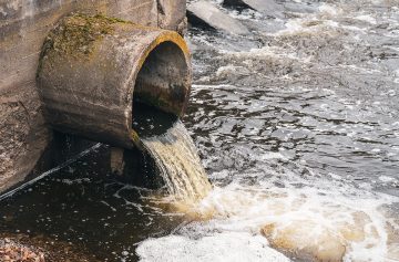 Foto: Adobe Stock/andrei310