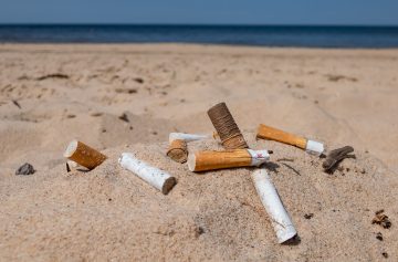 Foto: Adobe Stock/KristineRada