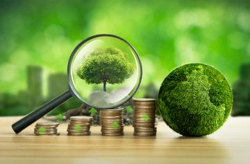 Foto: Adobe Stockp/Wanan