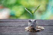 Foto: Adobe Stock/EKKAPON