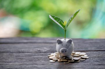 Foto: Adobe Stock/EKKAPON