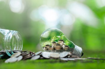 Foto: Adobe stock/Dee karen