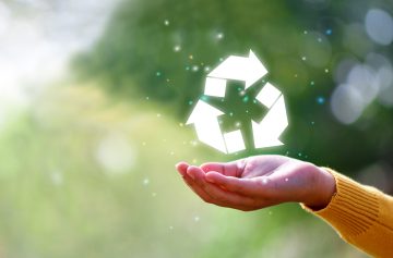 Foto: Adobe stock/Kalawin