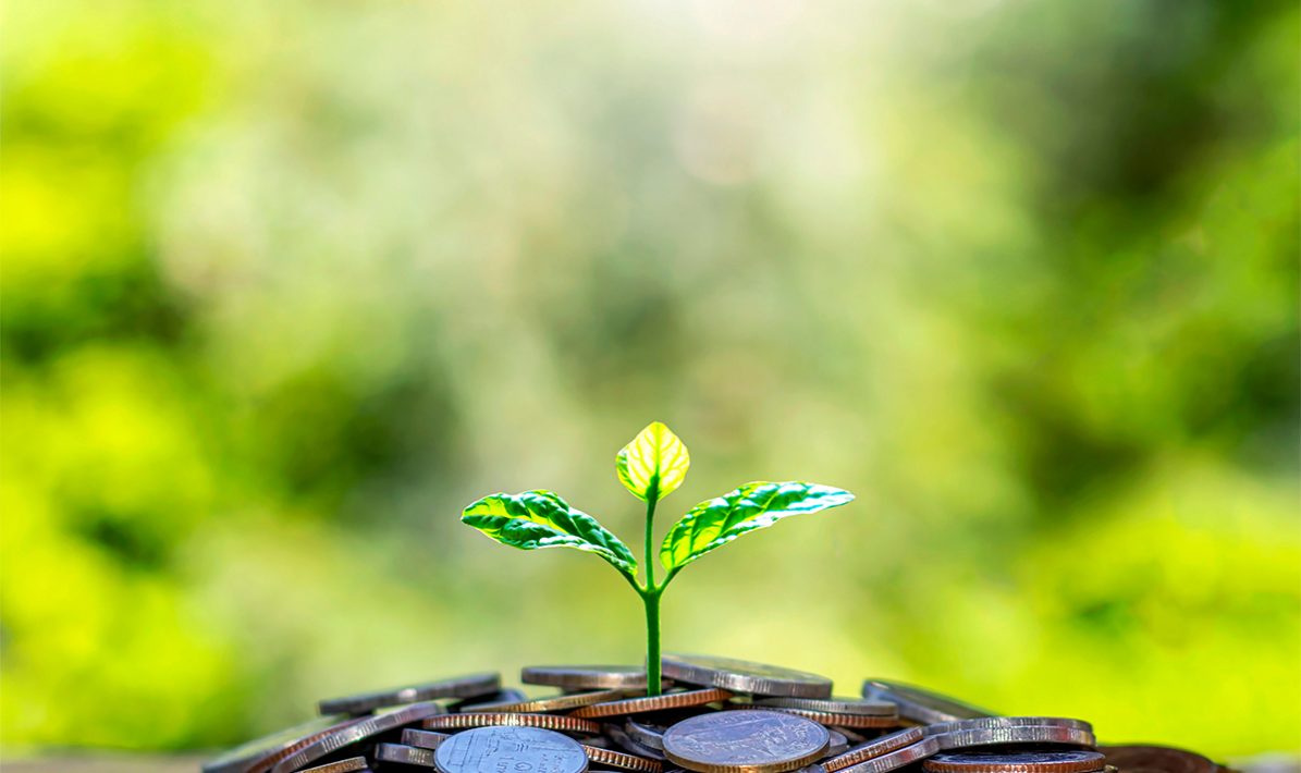 Foto: Adobe stock/Arthon