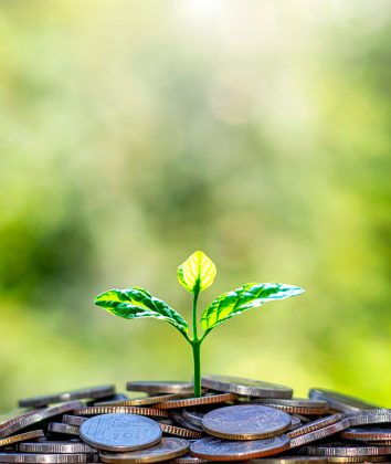 Foto: Adobe stock/Arthon