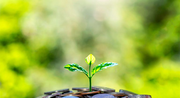 Foto: Adobe stock/Arthon