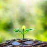 Foto: Adobe stock/Arthon