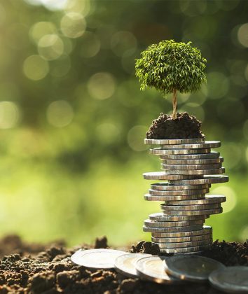 Foto: Adobe stock/lovelyday12