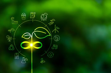 Foto: Adobe Stock/Surasak