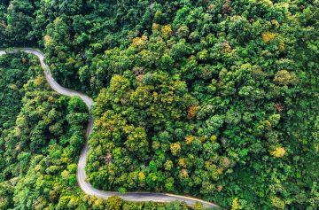 Foto: Adobe stock/Hand Robot