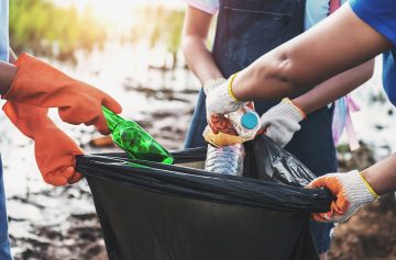 Foto: Adobe stock/lovelyday12