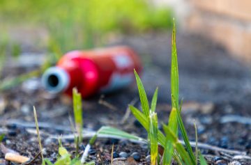 Foto: Adobe stock/Ajax9