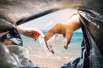 Foto: Adobe stock/sawitreelyaon