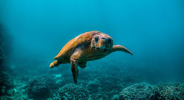 Foto: Adobe Stock/Aaron
