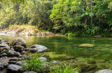 Foto: Adobe Stock/Kevin