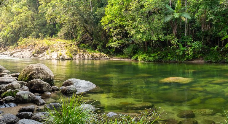 Foto: Adobe Stock/Kevin