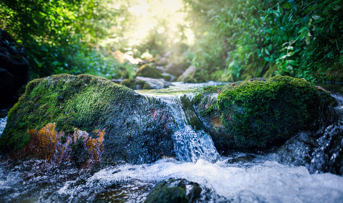 Foto: Adobe Stock/Marc Andreu