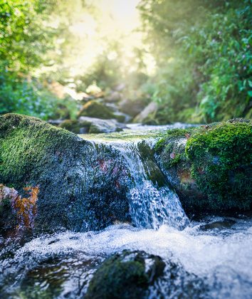 Foto: Adobe Stock/Marc Andreu