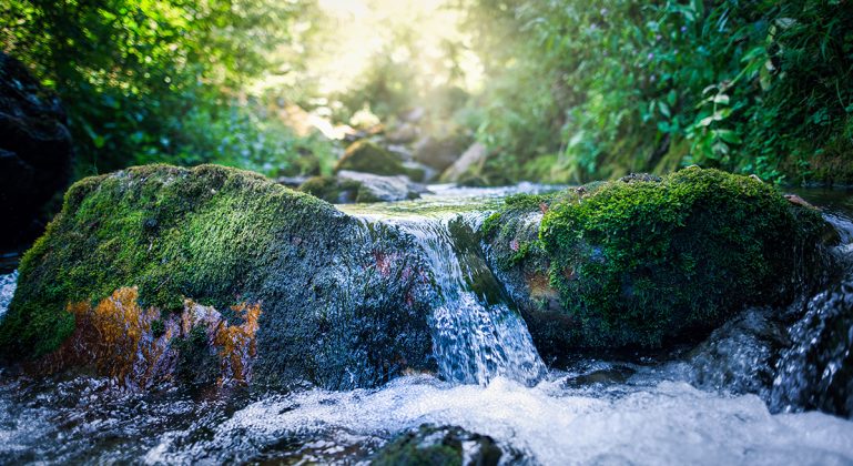 Foto: Adobe Stock/Marc Andreu