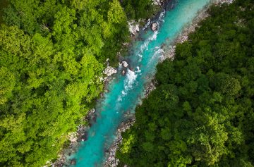 Foto: Adobe Stock/marcin jucha