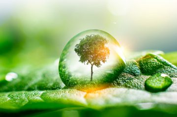 Foto: Adobe Stock/Surasak