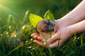 Foto: Adobe stock/Miha Creative