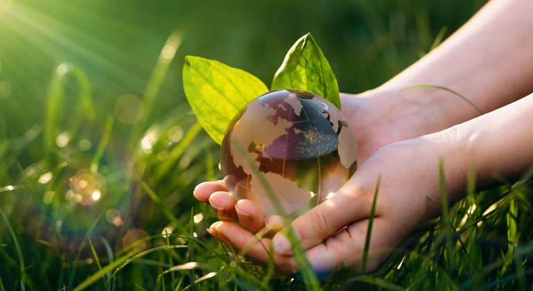 Foto: Adobe stock/Miha Creative
