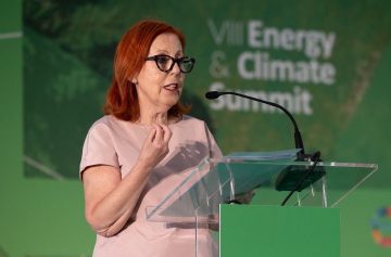 Maria da Graça Carvalho, ministra do ambiente | Foto: LinkedIn