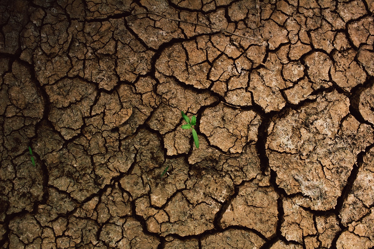 ONU traça novo cenário mínimo de 1,8°C de aquecimento global