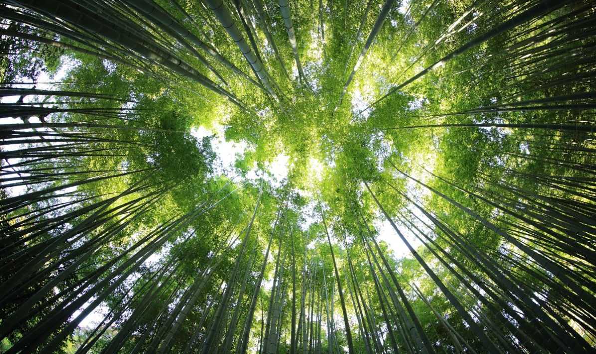Foto: Unsplash