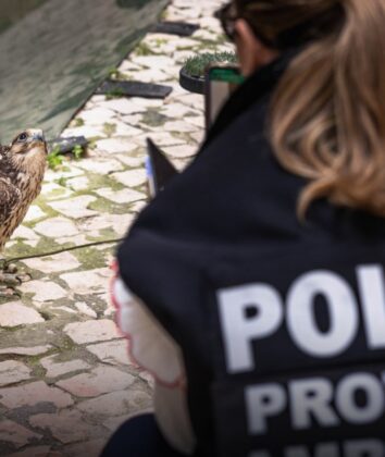 Foto: página do X da Polícia de Segurança Pública