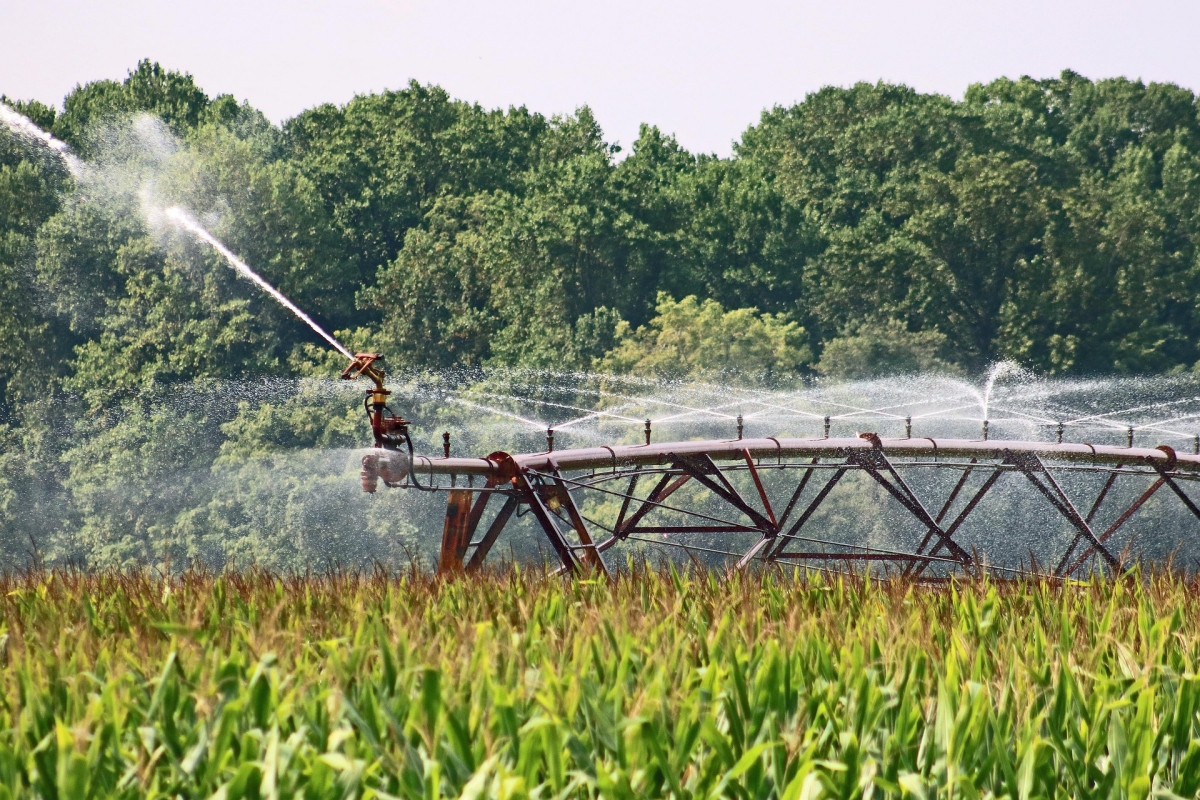 XI National Congress on Irrigation and Drainage
