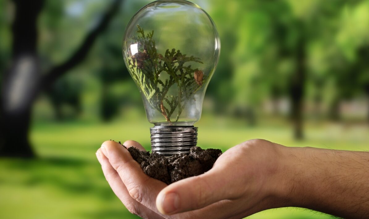 Social tariff and electric mobility support in Portugal featured in EU energy best practices catalogue