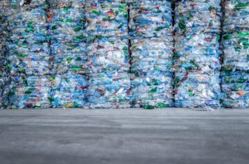 Foto: Adobe Stock/Littlewolf1989