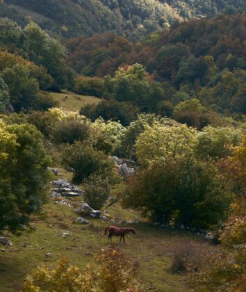 Foto: Freepik