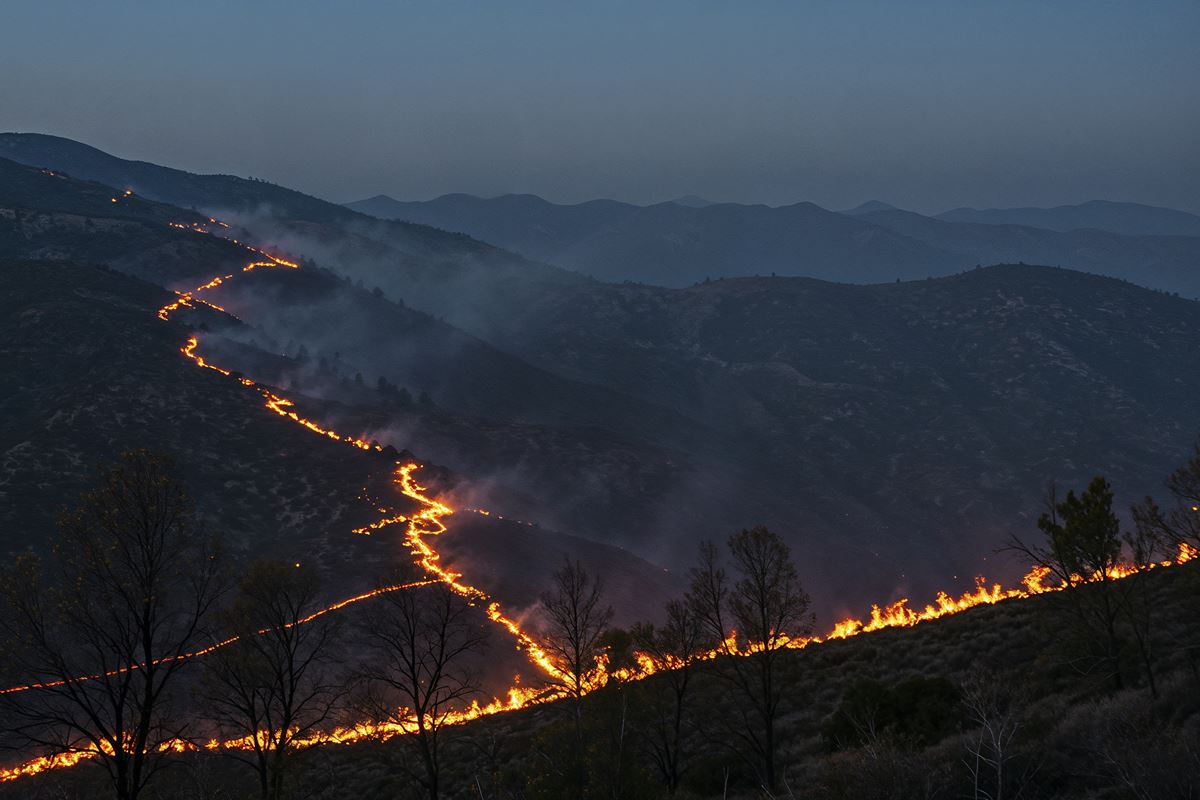 EU launches largest ever wildfire prevention operation with Portugal among priority countries