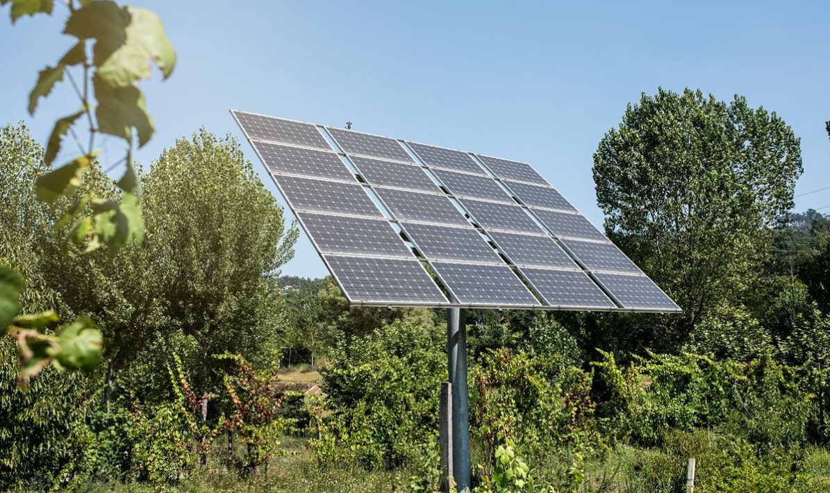 Energy transition is a priority for 80% of entities in Portugal