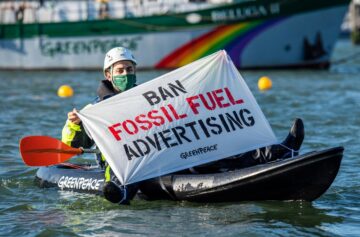 Foto: Marten van Djil / Greenpeace