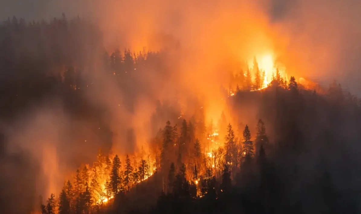 Heat records and El Niño heighten wildfire risk