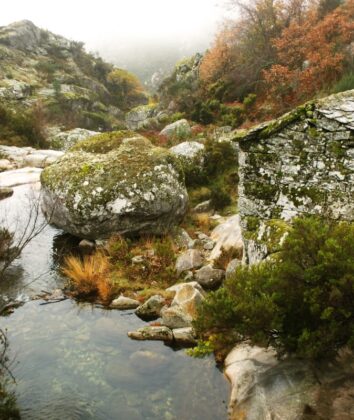Parque Natural do Alvão | Foto: Libânia Pereira / Wikimedia Commons