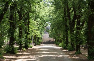 Coimbra | Foto: Unsplash