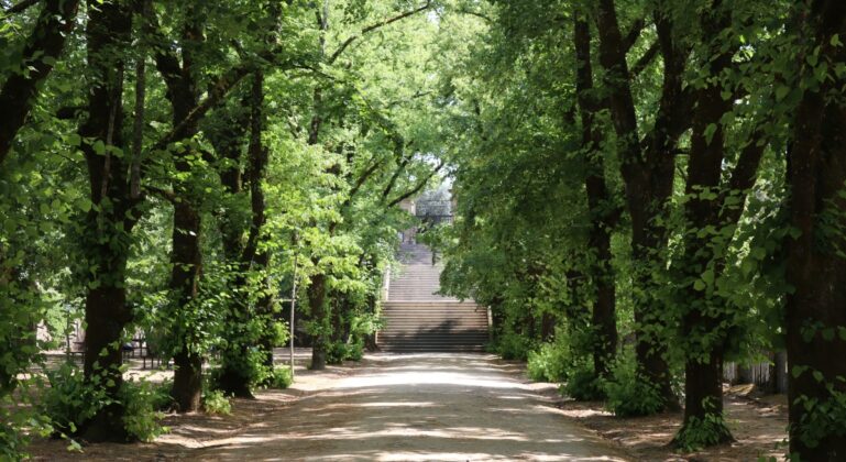 Coimbra | Foto: Unsplash