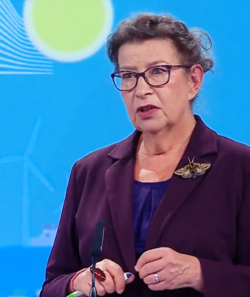 Leena Ylä-Mononen, diretora-executiva da Agência Europeia do Ambiente