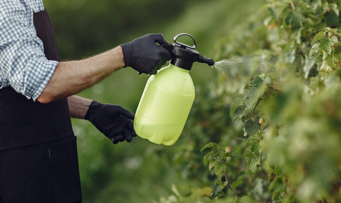 Portugal records 40% drop in pesticide sales since 2011