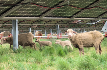 Foto: Iberdrola